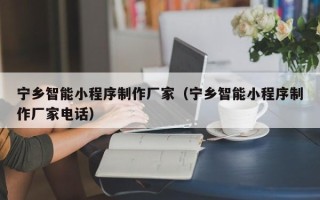 蚌埠宁乡智能小程序制作厂家（宁乡智能小程序制作厂家电话）